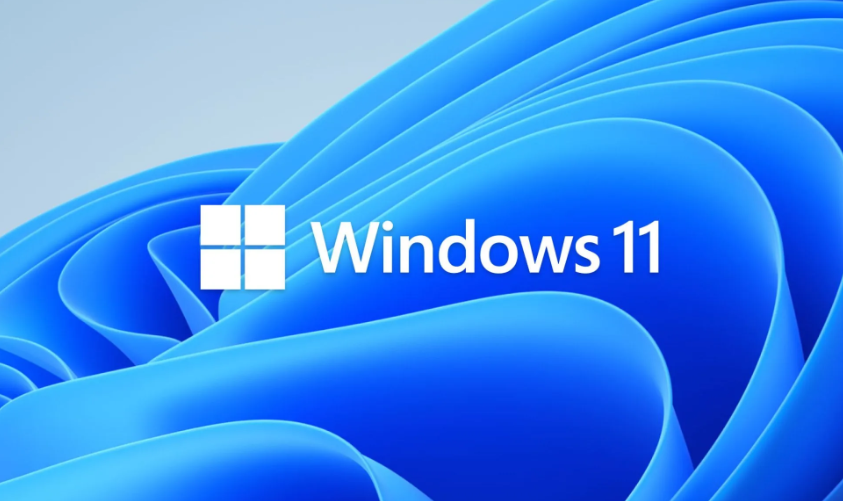 Windows 11 logo